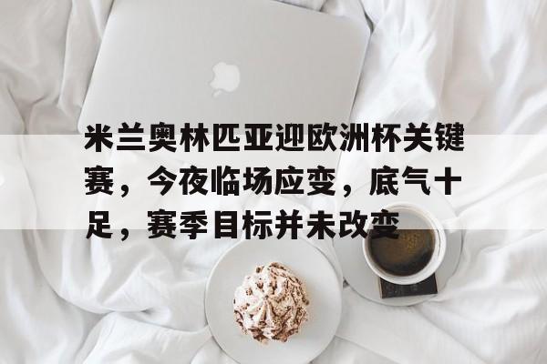 华体会注册- 米格尔足球3号 
